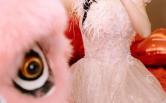 天天插日日胔夜夜干